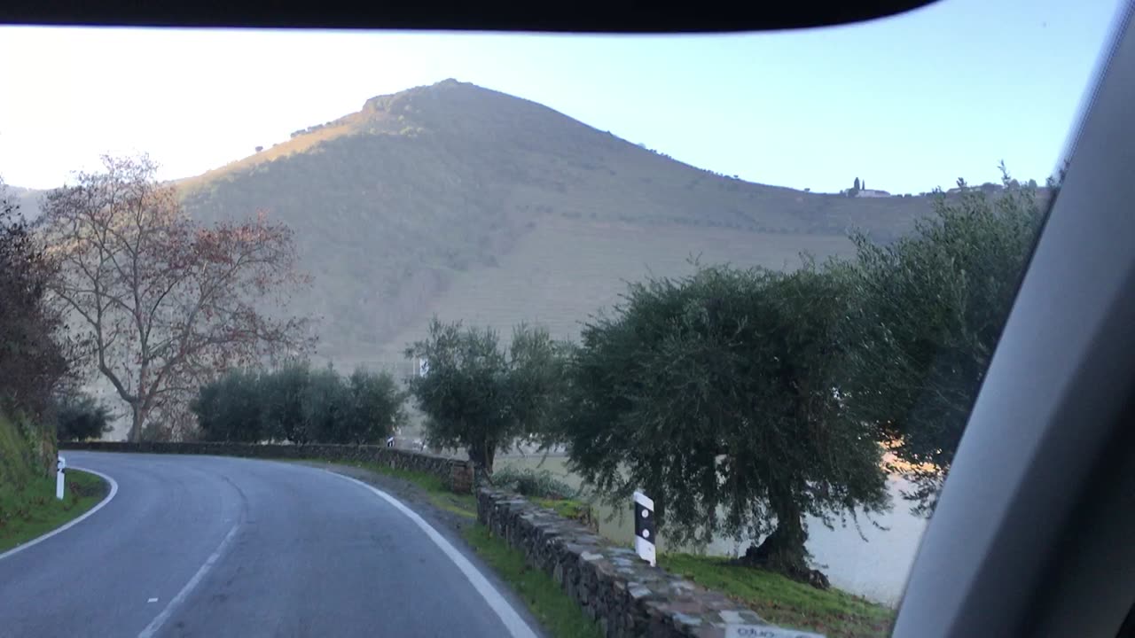 Boat Tour on Douro River (Pinhao, Alto Douro, Portugal) 10