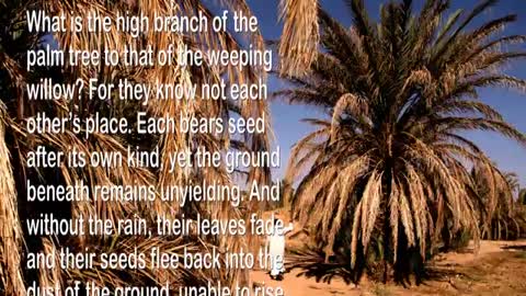 The Day of the Lord is here... The Pangs must increase quickly 🎺 Trumpet Call of God