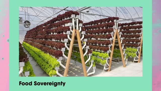 Hydrodome - Hydroponic Organic Food Garden Template - Passion Based Economy