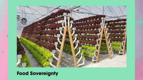Hydrodome - Hydroponic Organic Food Garden Template - Passion Based Economy
