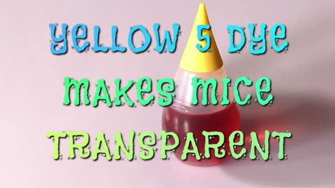 YELLOW 5 DYE MAKES MICE TRANSPARENT