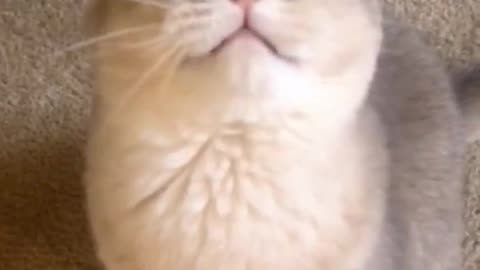 Mom I'm hungry