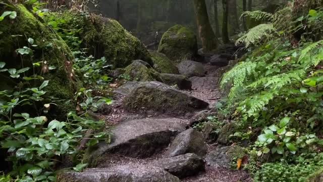Hike For Serenity