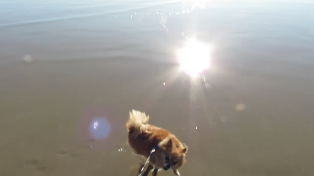 LeLe at the Beach pt. 2