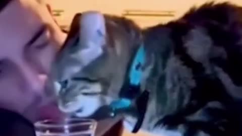 Try not to laugh🤣 Funny animals😹‖ #shorts ‖ Fun Store