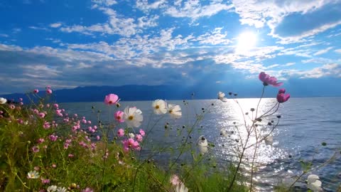 Flowers, lakes, sky!