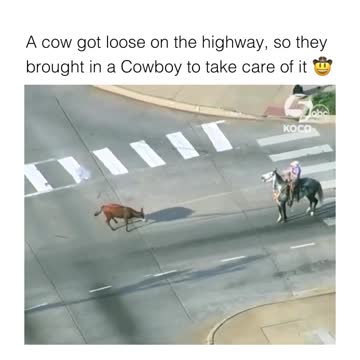 Sometimes it just takes a good ole Cowboy...