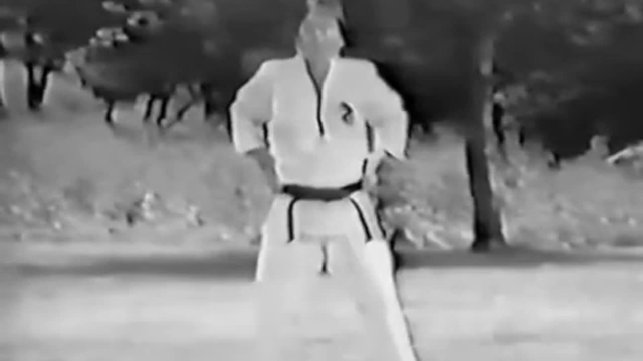 World Hapkido Federation