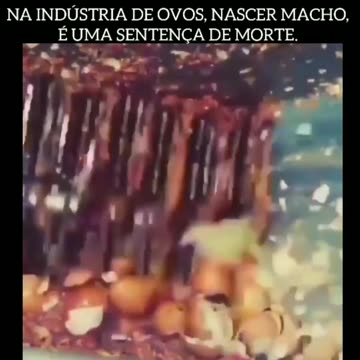 A riequilibrare le Energie ci pensa il karma, è sempre stato così.