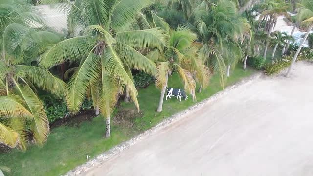 Epstein's Pedo Island 10