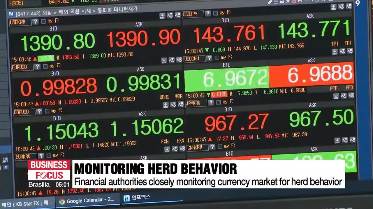 S. Korea's FX authorities warn against herd behavior amid excessive decline in local currency