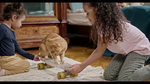 Kids Playing With Their Cat On A Skateboard