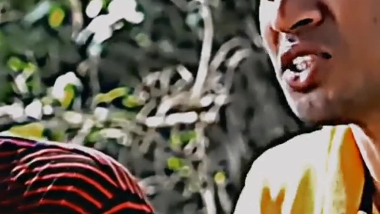 Funny video