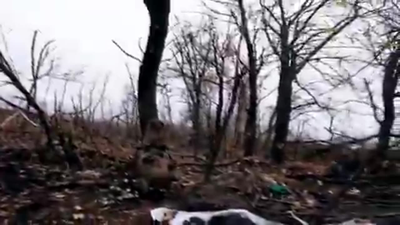 Video of a French volunteer's GoPro footage during an attack on Russian