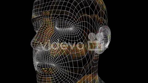 Futuristic Facial Recognition 3D Animated Head (Loop)