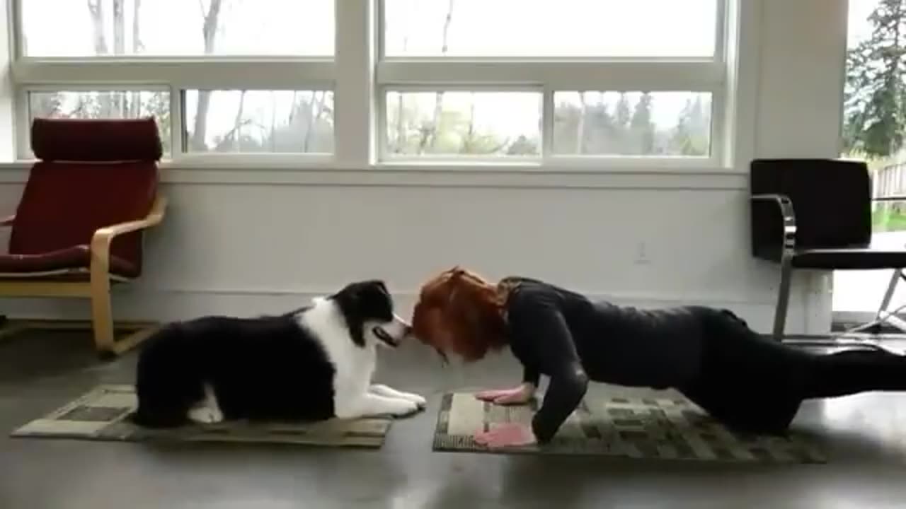 Yoga by Dog