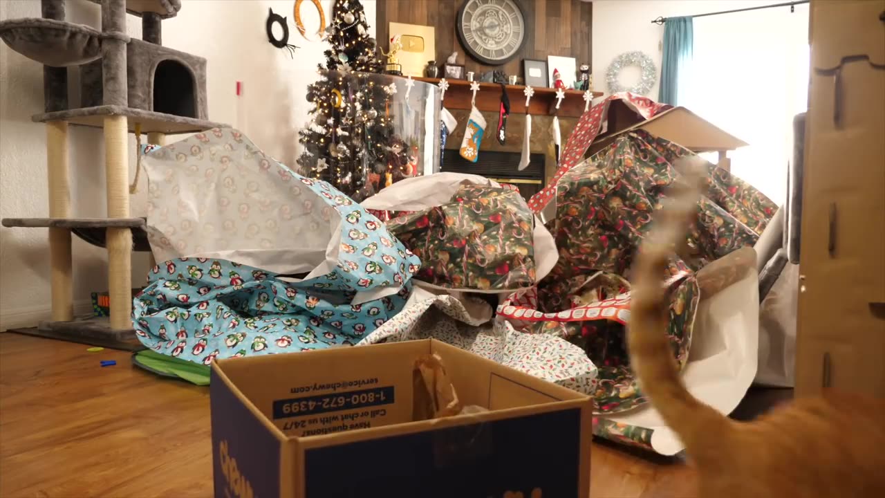 A Cat Christmas Paper Maze!