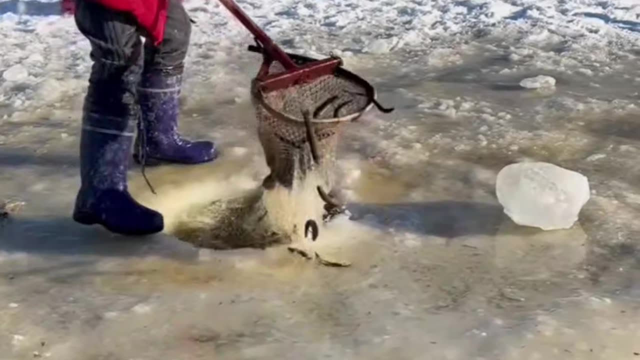 Doing fishing in so cold