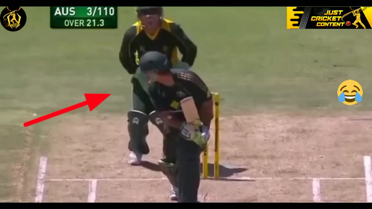 Top 5 Funny Moments in Cricket