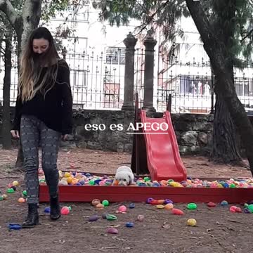 ¿AMAS o tienes APEGO?