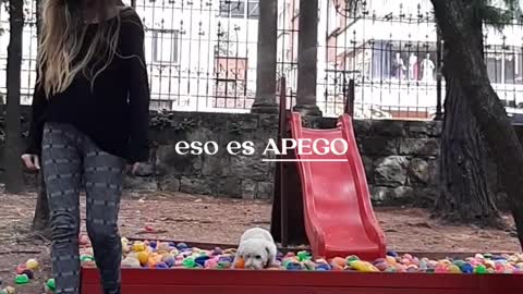 ¿AMAS o tienes APEGO?