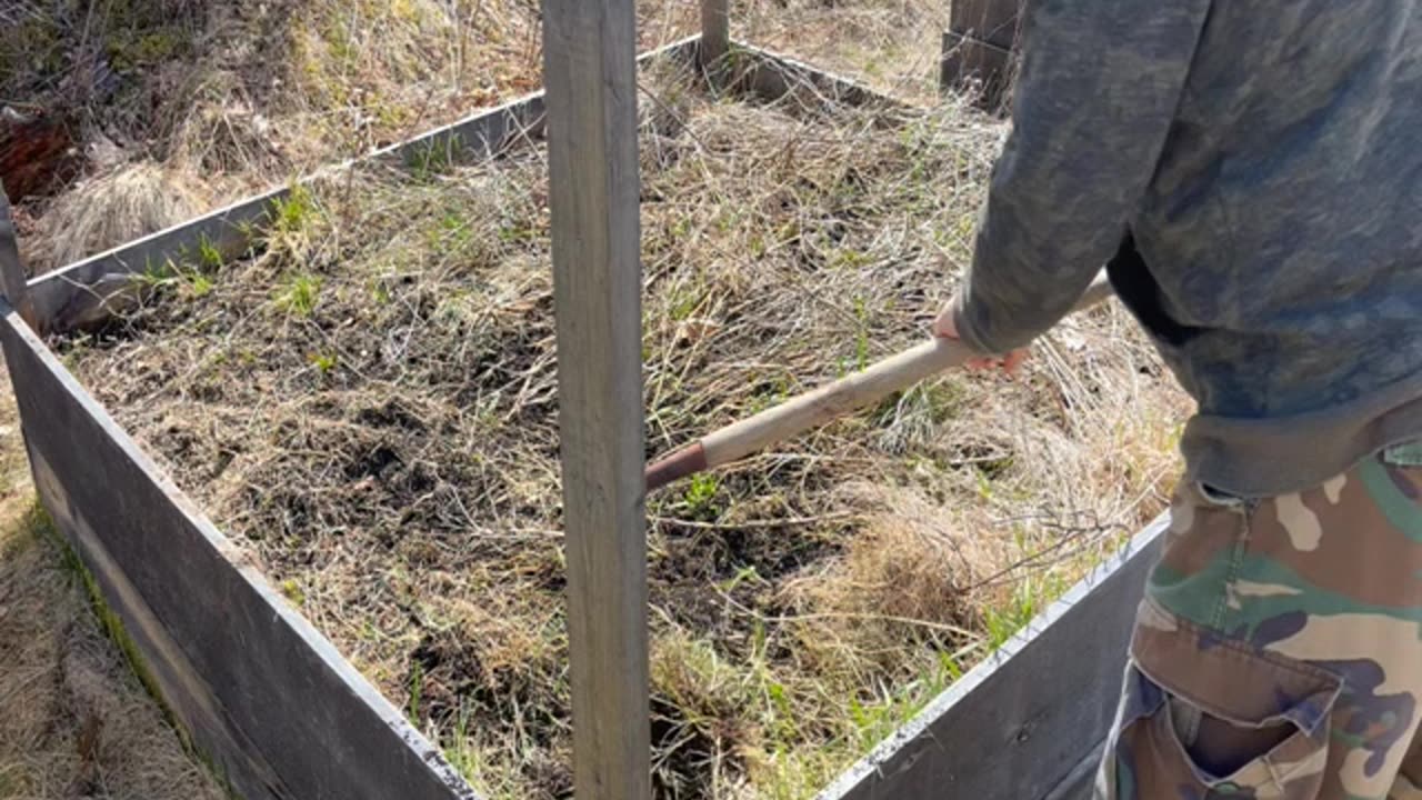 Prepping The Raised Beds