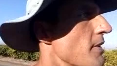 ROAD 104 = SUN + WIND = LOVE + JOY = COCOA WATER.