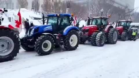 BEAUTIFUL FREEDOM FARMERS HOLDING THE LINE IN QUEBEC