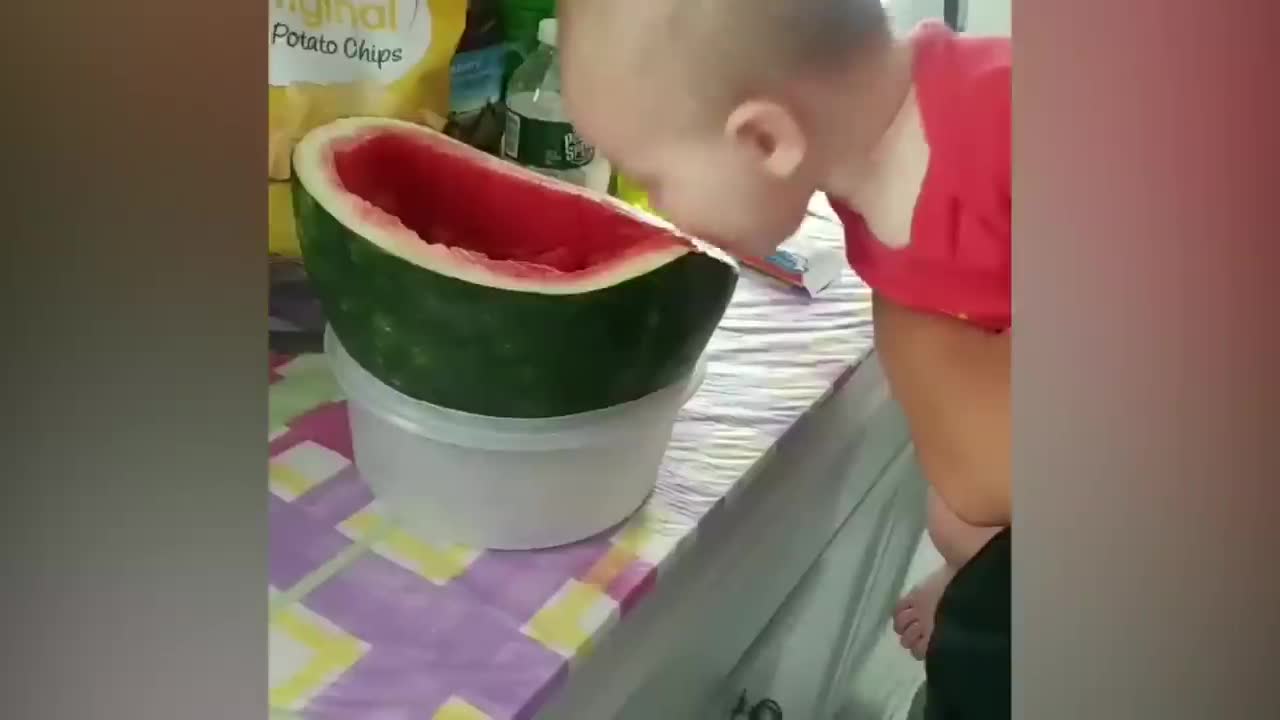 Try Not To Laugh : Baby Eating Fruit For The First Time | Funny baby video-13