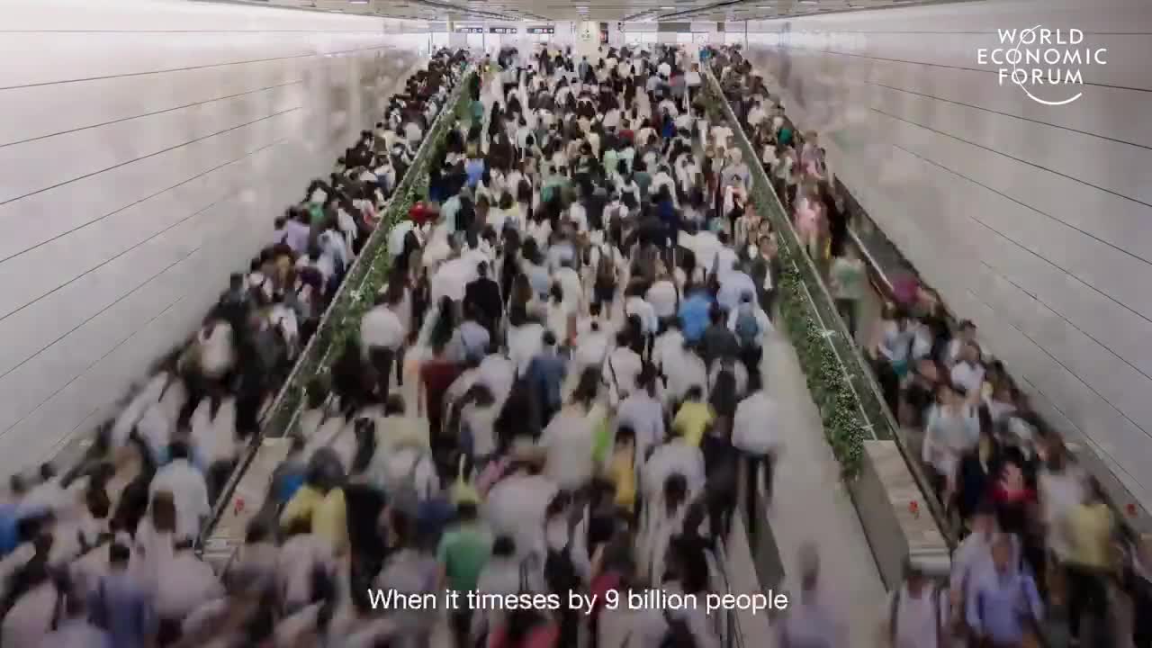 The WEF and their insect diet plan. I wish this was a parody