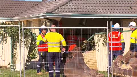 A burst water main has sparked midnight mayhem in our southern suburbs, flooding streets and opening