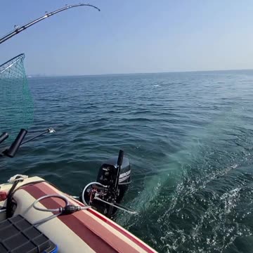 Funny Landing of Salmon Fish - Lake Ontario Summer 2023