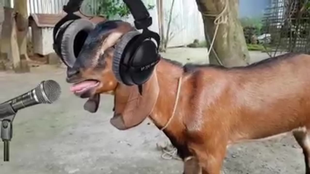 This is call mixing