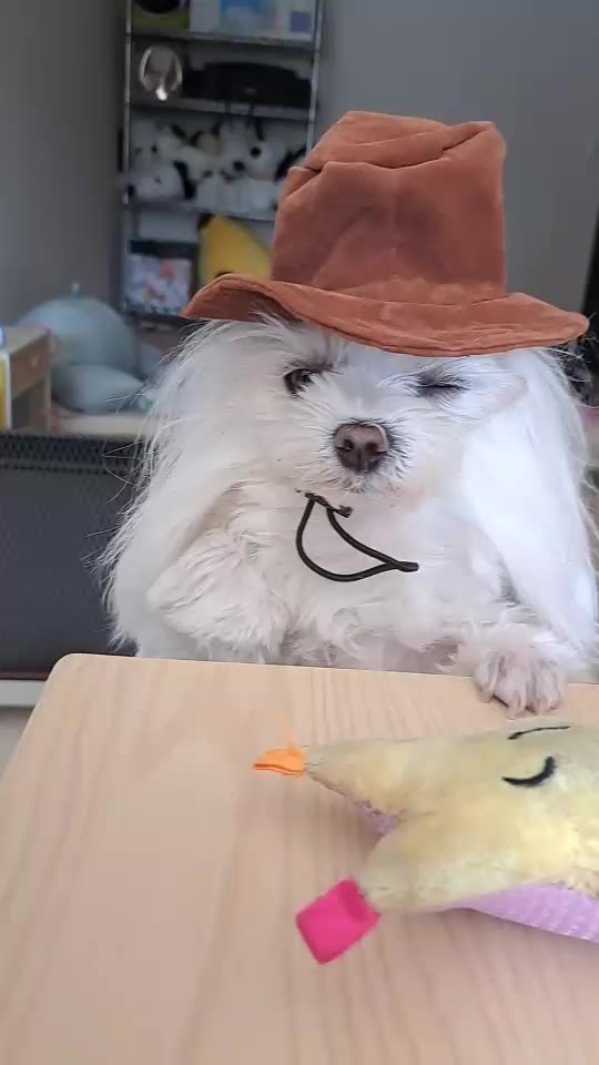 what will come out？