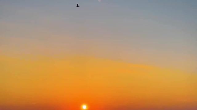 Wonderful sunset with birds