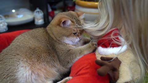 Hair styling