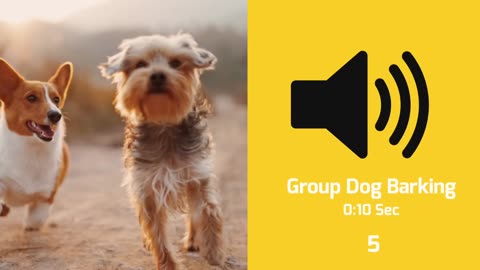 Dog Barking Sound Effect - Copyright free