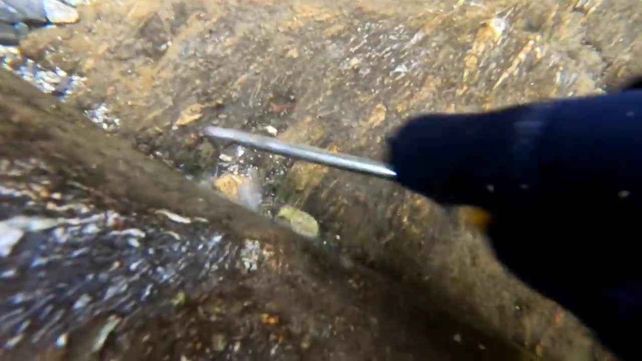 UNBELIEVABLE Deposit Of GOLD Found UNDERWATER!!