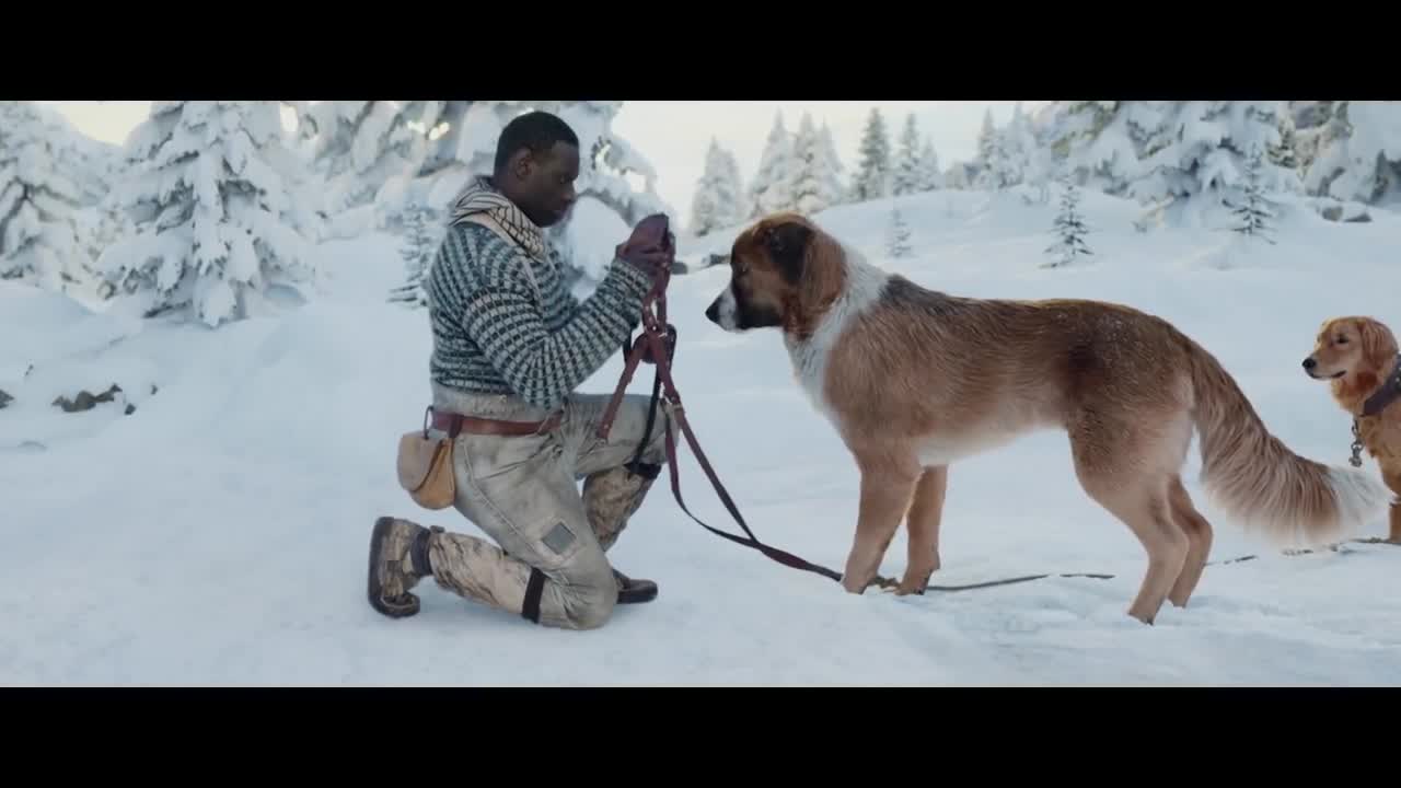 The Call of the Wild New Lead Dog Clip