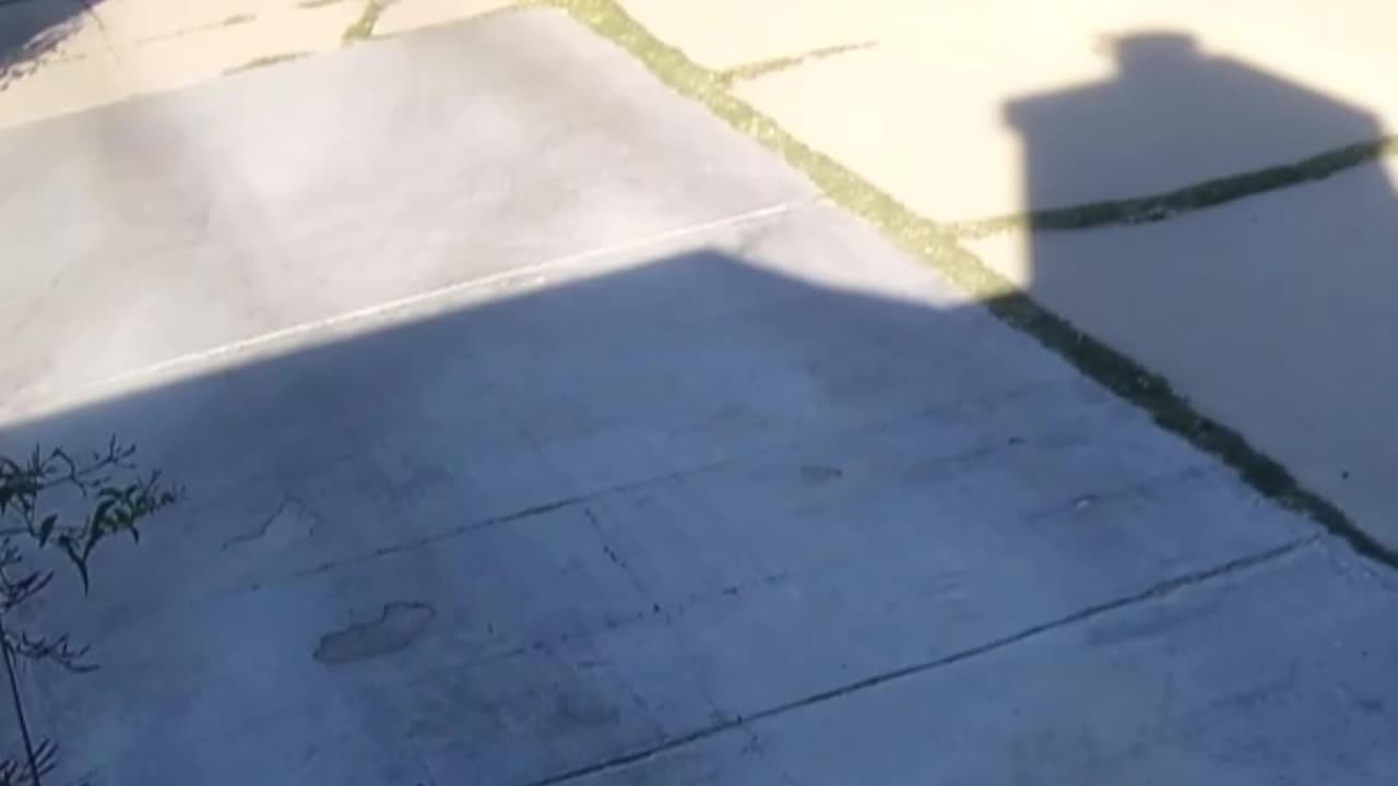 That was a perfect throw 🤣