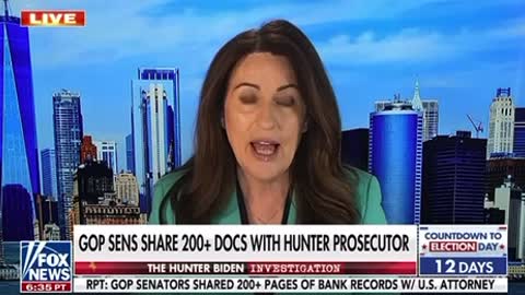 Hunter Biden 200+ Docs
