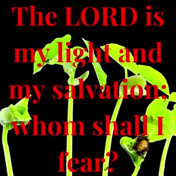 The LORD is my light and my salvation; whom shall I fear?