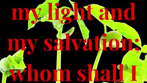 The LORD is my light and my salvation; whom shall I fear?