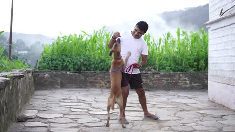 A Man Playing with His Dog