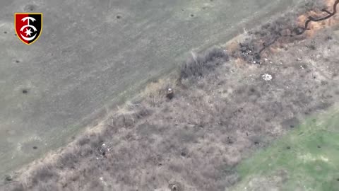 "Crab" destroyed "Swift"