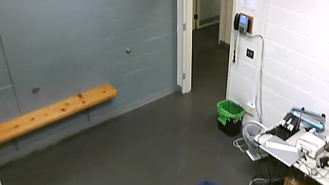 1700HQOB02208ALiveScanRoom_2021-01-06_20h20min04s050ms.mp4