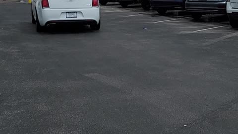 Bizarre Event Filmed in Walmart Parking Lot