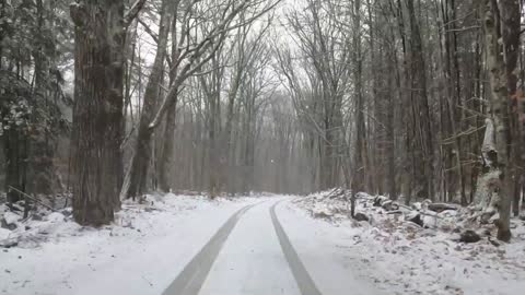 Let it Snow