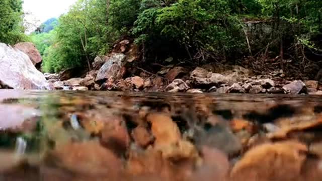 View of water in a river