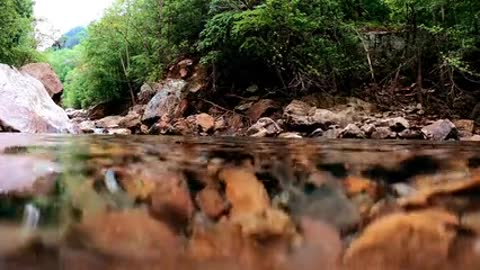 View of water in a river